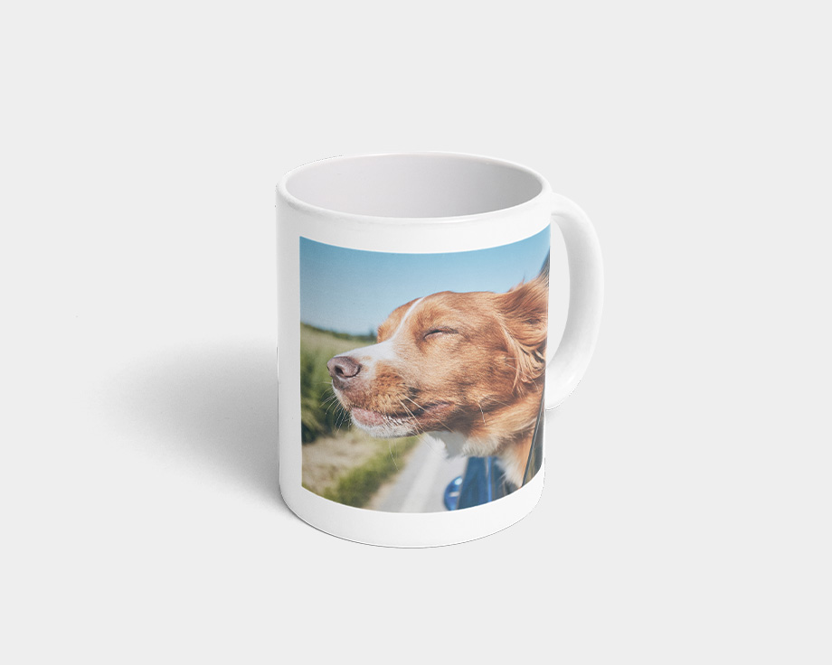 A photo mug featuring a photo of a dog