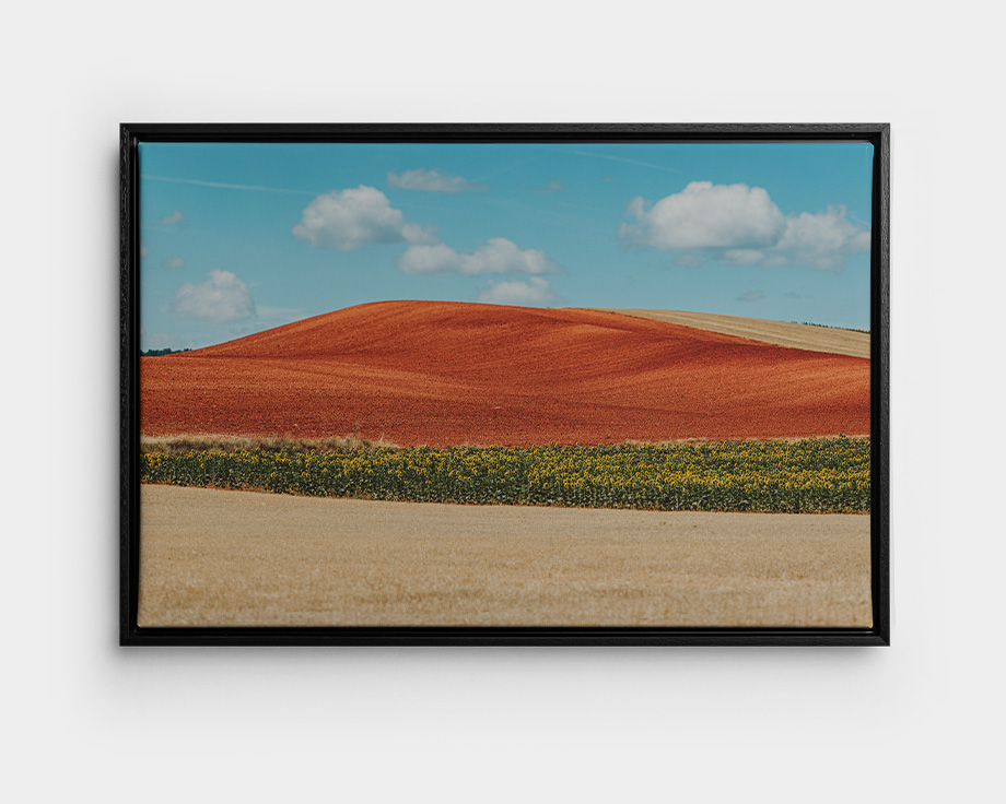 A framed canvas with a picture of a summery landscape