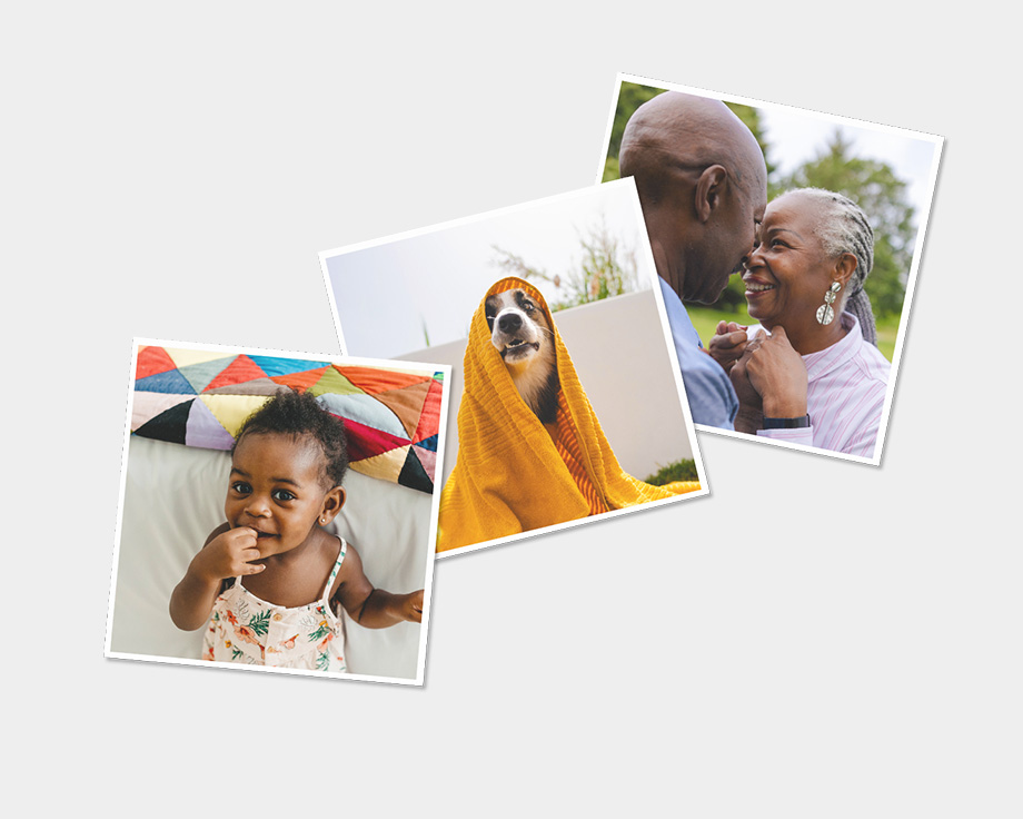 Three magnets featuring photos of dog and family