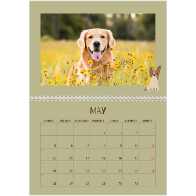 A4 Double Photo Calendar — Playful puppy [cover]