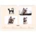 A3 Photo Calendar — Cat paws and doodles [February]