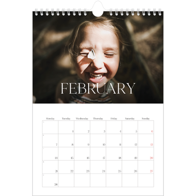A4 Photo Calendar — Twelve big months [February]