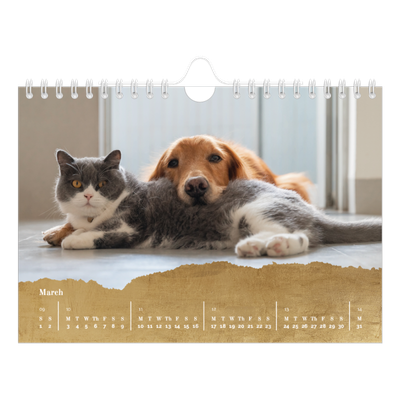 A5 Landscape Photo Calendar — Classic Gold [March]