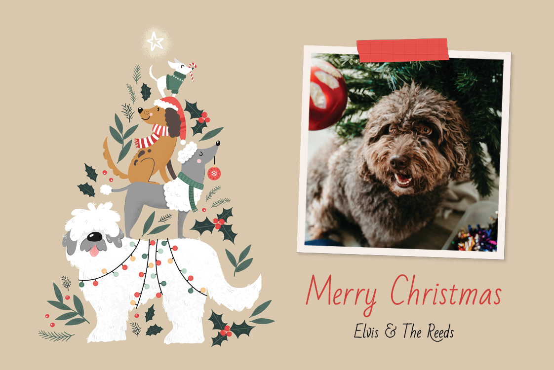 Cards — Holiday hounds