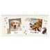 Desk calendars — Playful puppy [cover]