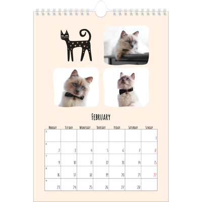 A4 Photo Calendar — Cat paws and doodles [February]
