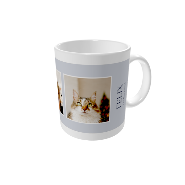 Personalised mugs — Stylish cat