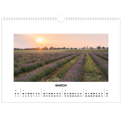 A3 Photo Calendar — Simple photo [March]