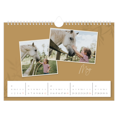 A4 Landscape Photo Calendar — Down to earth [cover]