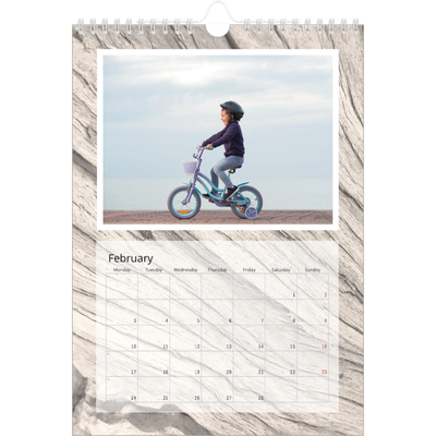 A4 Photo Calendar — Tree bark [February]