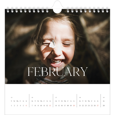 Square calendars  — Twelve big months [February]