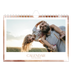 A5 Landscape Photo Calendar — Paintbrush effect [cover]
