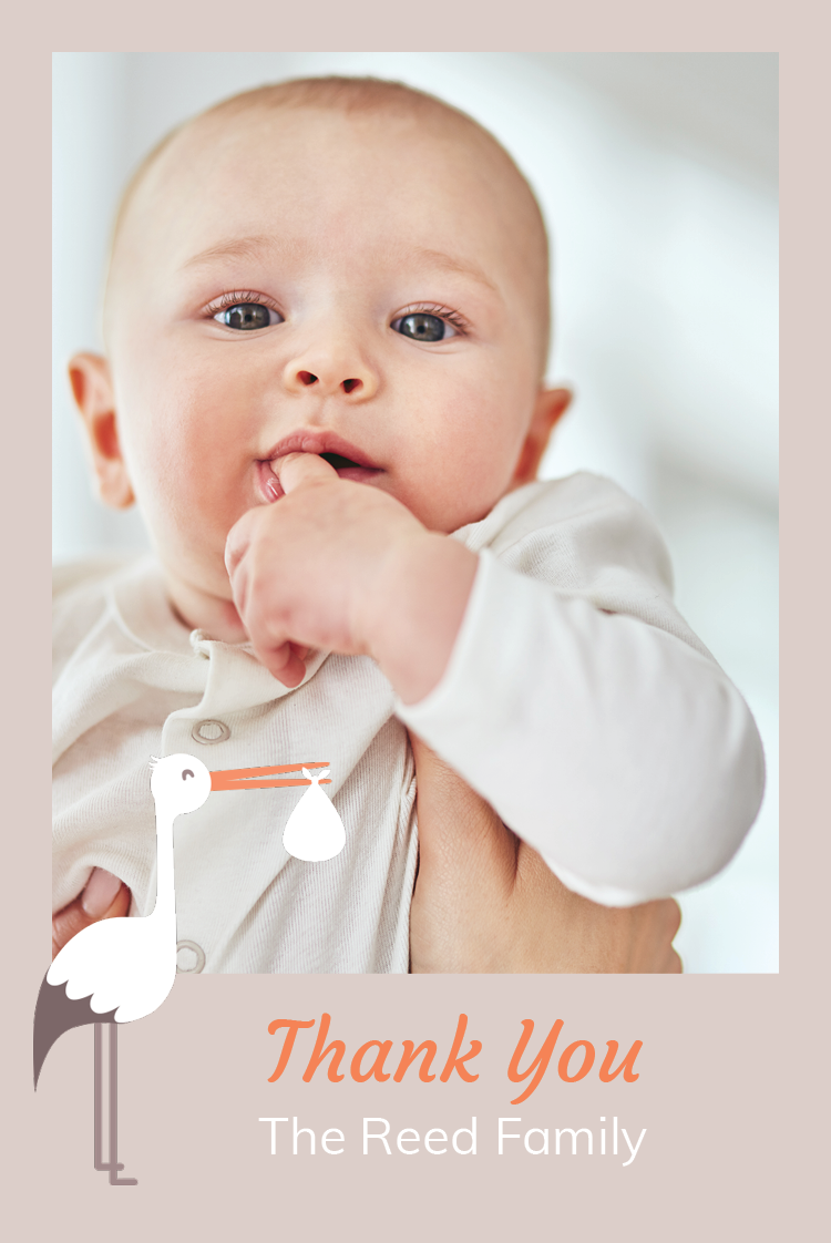 Thank you cards — My friend stork