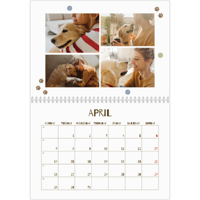 A4 Double Photo Calendar — Playful puppy [April]