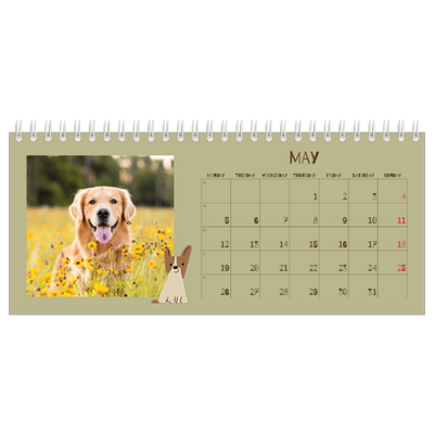 Desk calendars — Playful puppy [cover]
