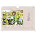 A4 Landscape Photo Calendar — Simple botanical [March]
