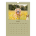 A4 Photo Calendar — Playful puppy [cover]