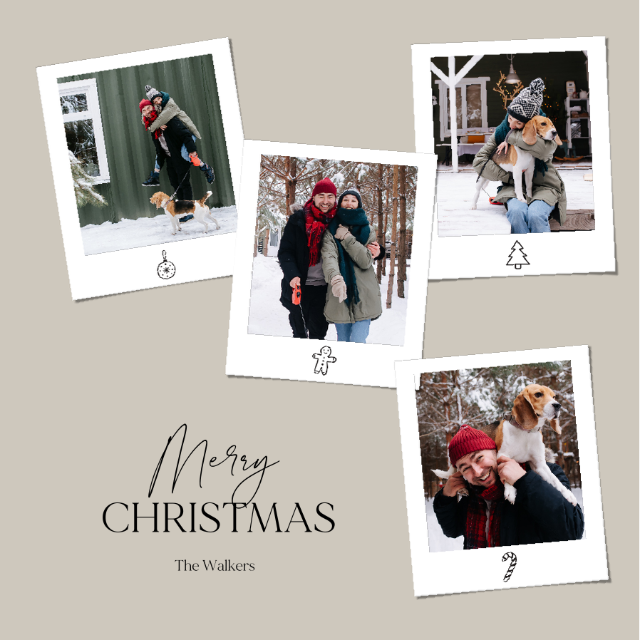 Cards — Festive snapshots