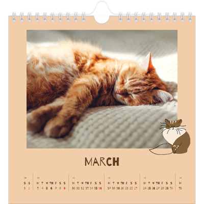 Square calendars  — Playful kitten [March]