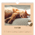 Square calendars  — Playful kitten [March]