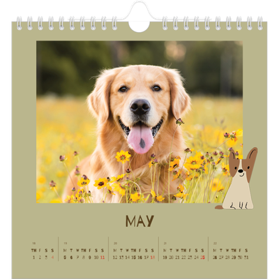 Square calendars  — Playful puppy [cover]