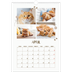 A3 photo calendars — Playful kitten [April]