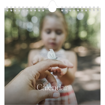 Square calendars  — Twelve big months [cover]
