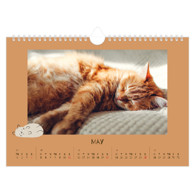 A4 Landscape Photo Calendar — Playful kitten [cover]