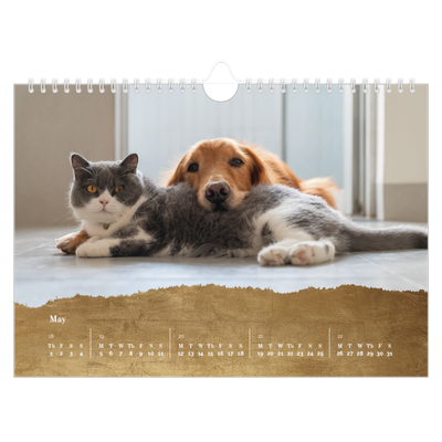 A4 Landscape Photo Calendar — Classic Gold [cover]