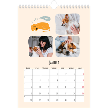 A4 Photo Calendar — Dog paws and doodles