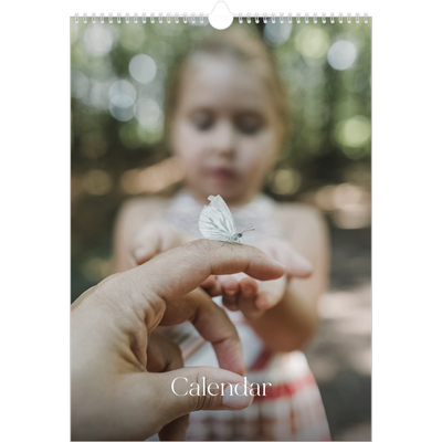 A3 photo calendars — Twelve big months [cover]