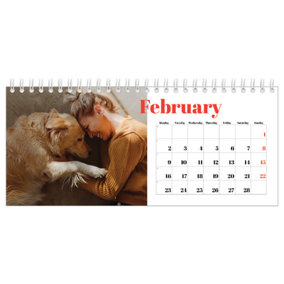 Desk calendars — A bold year [February]