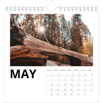 Square calendars  — Big date [cover]