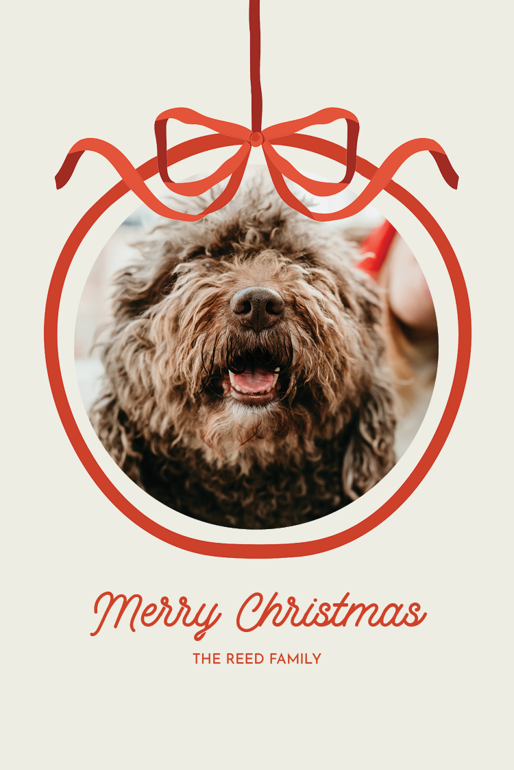 Cards — Bauble & bow