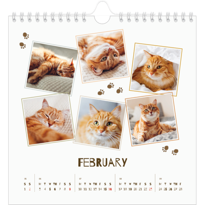 Square calendars  — Playful kitten [February]