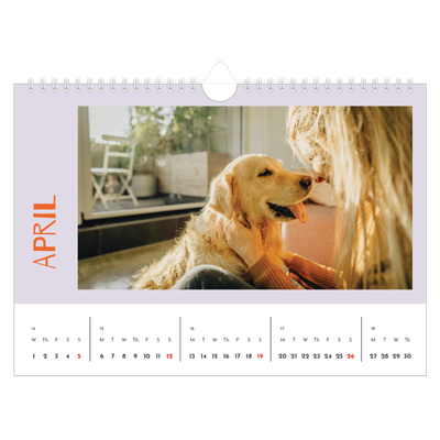 A4 Landscape Photo Calendar — Fun colourful you [April]