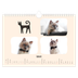 A4 Landscape Photo Calendar — Cat paws and doodles [February]