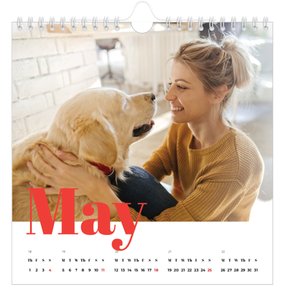 Square calendars  — A bold year [cover]