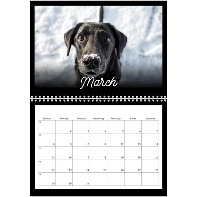 A4 Double Photo Calendar — Black minimal [March]