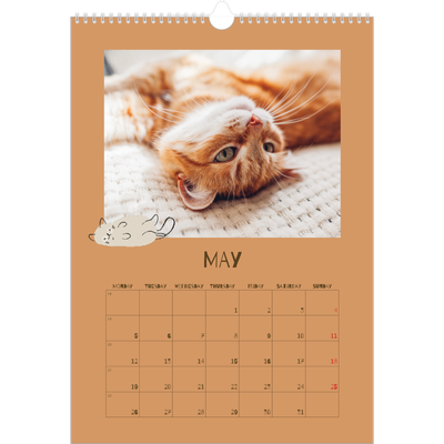 A3 photo calendars — Playful kitten [cover]