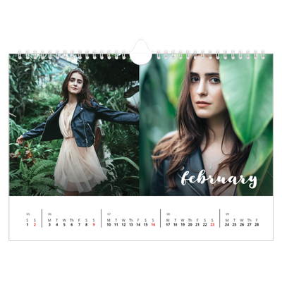 A4 Landscape Photo Calendar — Simple script [February]