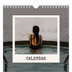 Square calendars  — The portrait edit [cover]