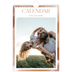 A5 Photo Calendar — Paintbrush effect [cover]