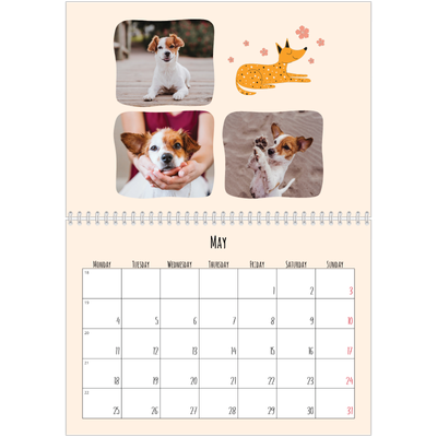 A4 Double Photo Calendar — Dog paws and doodles [cover]