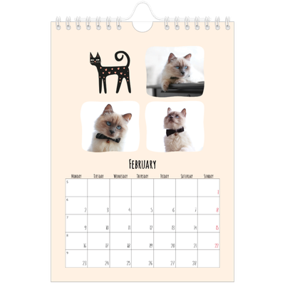 A5 Photo Calendar — Cat paws and doodles [February]
