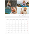 A4 Double Photo Calendar — Snapshots and script [March]