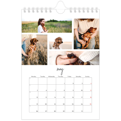 A5 Photo Calendar — Photo arrangements [cover]