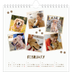 Square calendars  — Playful puppy [February]