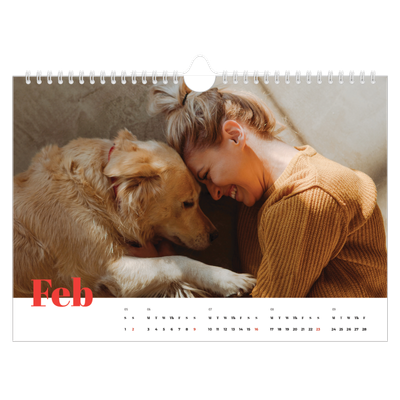 A4 Landscape Photo Calendar — A bold year [February]