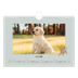 A5 Landscape Photo Calendar — Playful puppy [March]